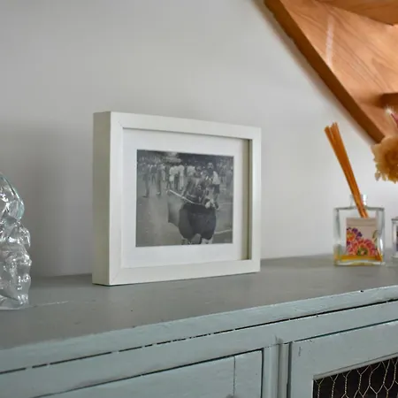 Regis - Jardin-parking-wifi-equipe * באיון